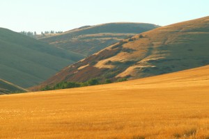 The base of the scenic Blue Mountain foothills.