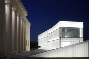 nelsonatkins