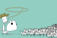 herding-cats1