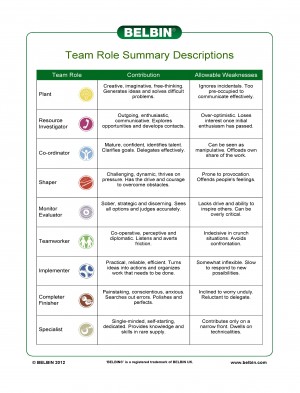 Belbin Team Role Summary Descriptions