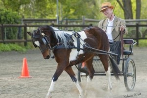 KillackyWPony