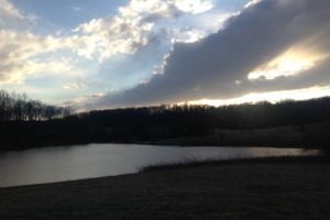 A view from the Airlie Center, the site of the Innovation Lab for Performing Arts five-day retreat.